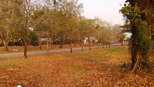 WP_20130125_010.jpg