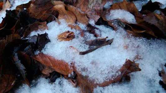 WP_20130126_018.jpg