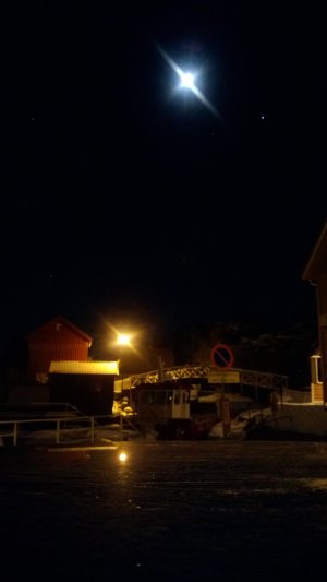 WP_20130123_004.jpg