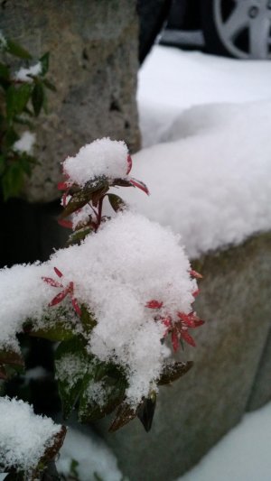 WP_20130121_021.jpg