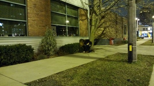 WP_20121211_032.jpg WP_20121211_032.jpg