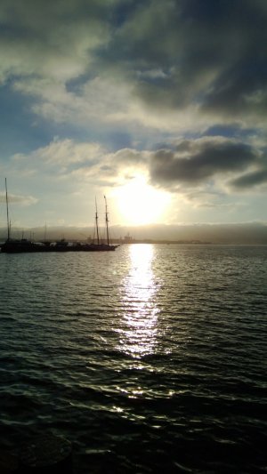 WP_20121122_095.jpg
