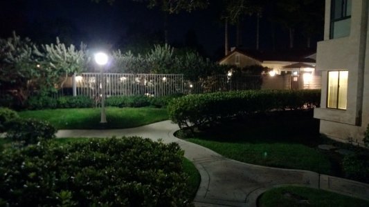 WP_20121123_009.jpg