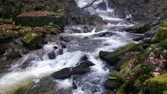 WP_20121125_008.jpg