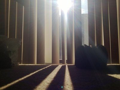 WP_20130505_007.jpg