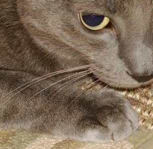 9376719751_9c68affeec_z.jpg