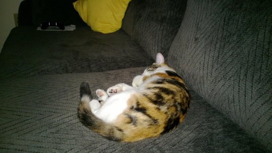 WP_20130727_008.jpg