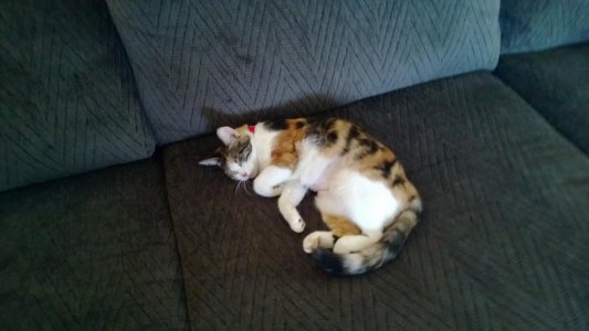 WP_20130727_010.jpg