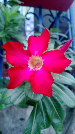 WP_20130727_005.jpg