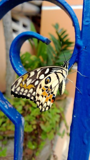 WP_20130728_001.jpg