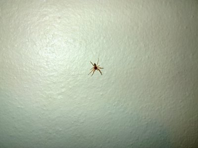 9391113398_efd963c3ae_z.jpg