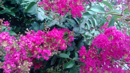 WP_20130729_002.jpg