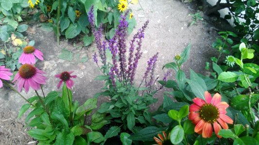 WP_20130729_003.jpg