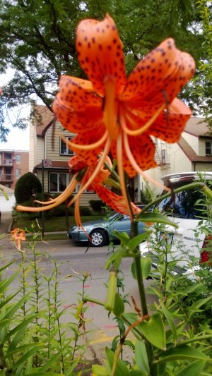 WP_20130729_004.jpg