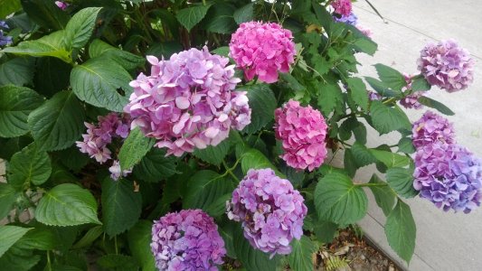 WP_20130729_007.jpg