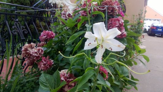 WP_20130729_008.jpg