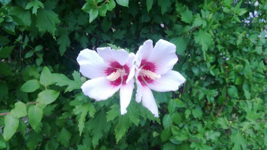 WP_20130729_010.jpg
