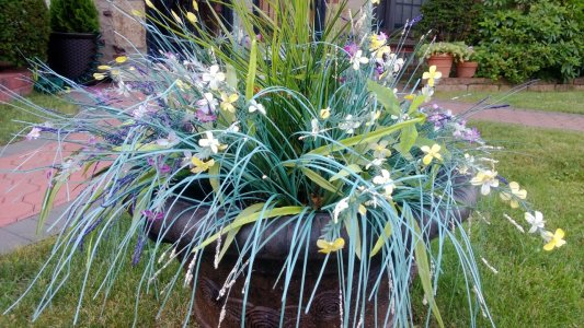 WP_20130729_011.jpg