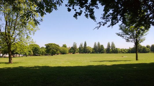 WP_20130606_044.jpg