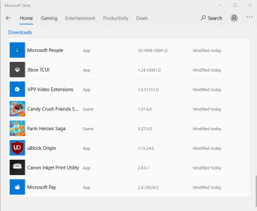 Microsoft Pay...PNG
