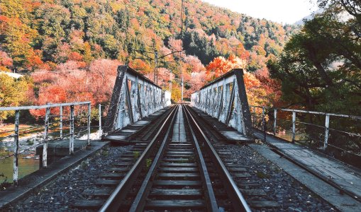 WP_20161008_17_12_57_Pro.jpg