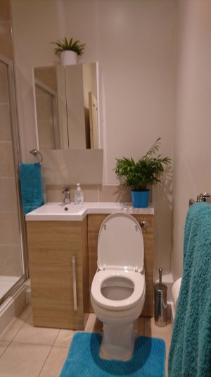 Downstairs bathroom.JPG