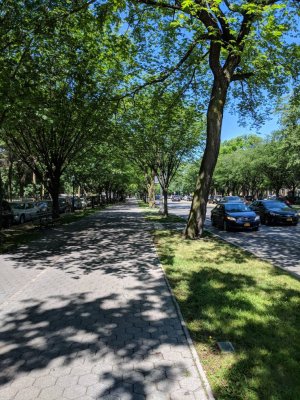 MVIMG_20180616_102150.jpg
