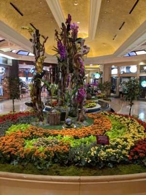 IMG_20180702_200047.jpg
