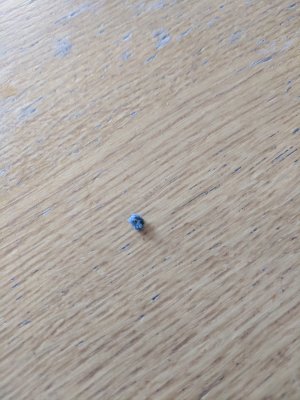 IMG_20180706_191026.jpg