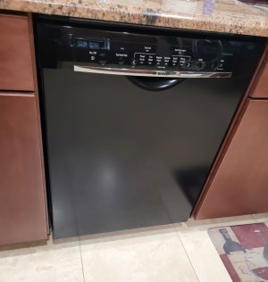 Old Dishwasher.jpg