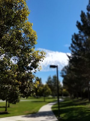 IMG_20181001_123348.jpg
