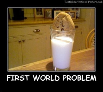 First-World-Problem-Best-Demotivational-Posters.jpg