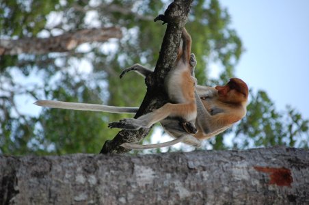DSC_8775.JPG