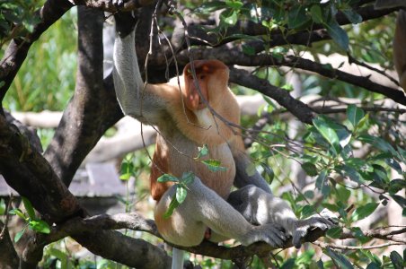 DSC_8704.JPG