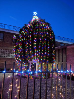 IMG_20190103_171322.jpeg