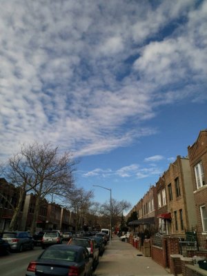 IMG_20190113_125912.jpeg