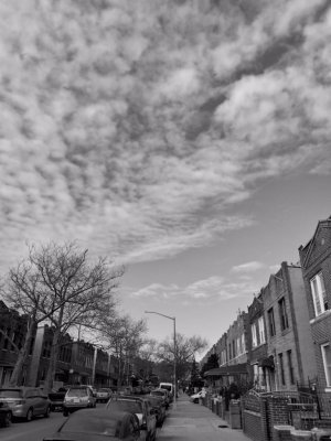 IMG_20190113_125919.jpeg
