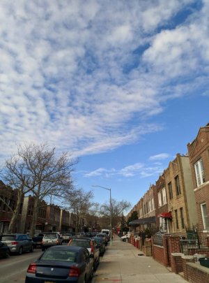 IMG_20190113_125932.jpeg