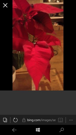 wp_ss_20190121_0002.jpg