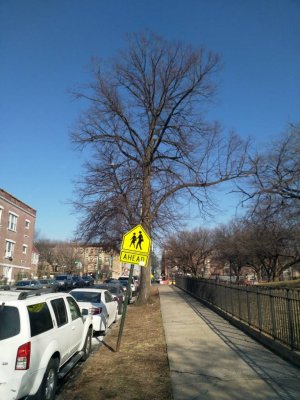 IMG_20190203_105113.jpeg