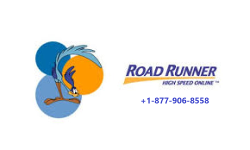 roadrunner 3.png