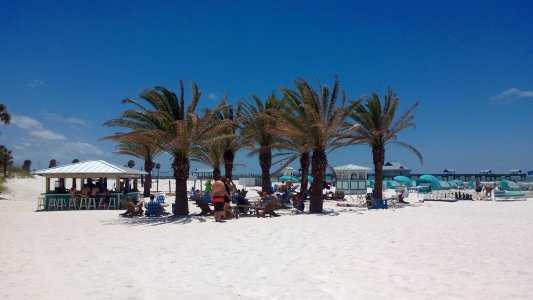 WP_20130506_011.jpg WP_20130506_011.jpg