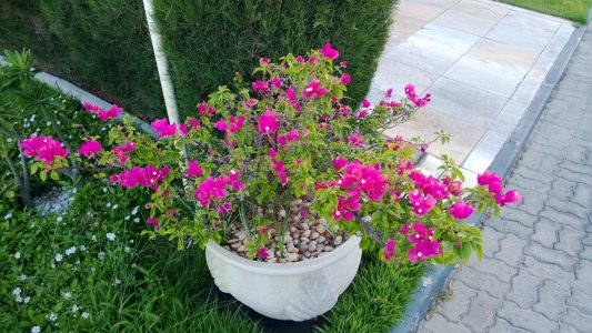 WP_20130730_059.jpg