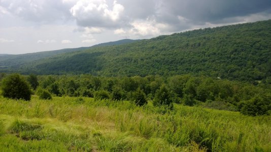 WP_20130731_12_06_40_Pro.jpg