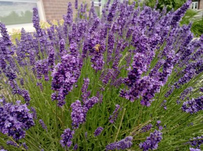 WP_20130625_004.jpg