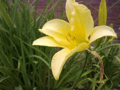 WP_20130625_009.jpg
