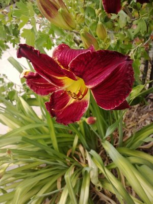 WP_20130625_010.jpg