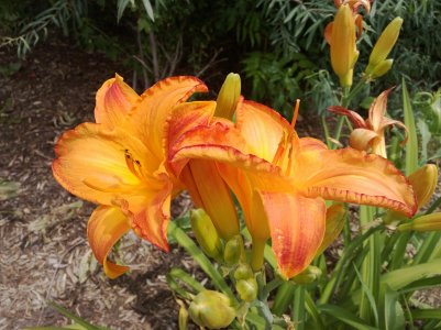 WP_20130703_001.jpg