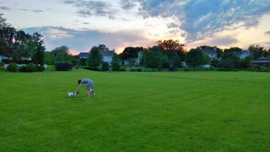 WP_20130611_079.jpg