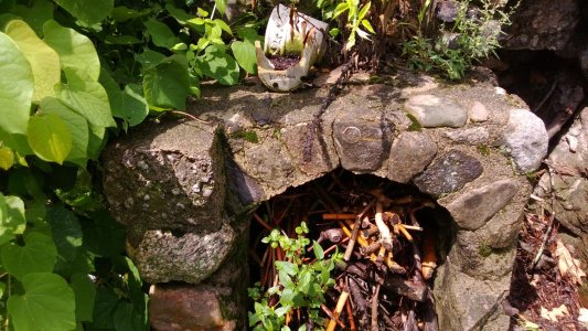 WP_20130719_005.jpg
